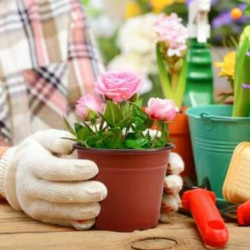 Delxo 100 Pcs 6 Inch Plants Nursery Pots Reusable Plant Seeding Nursery Pot Waterproof Plastic Pots Seed Starting Pots