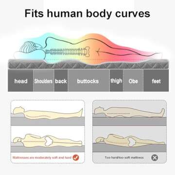 LXBche Tatami Mat Sleeping Pad Japanese Floor Mattress Soft Skin Friendly Futon Mattress Foldable Thai Massage Bed Mattresses Non-Slip and Breathable Camping Mattress for Guest Travel (Color : 11, S