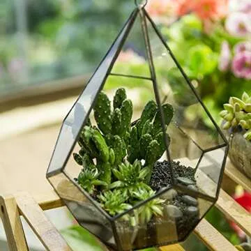 NCYP Hanging Glass Geometric Terrarium for Succulent - 6.8" x 6.8" x 8.6" Indoor Teardrop Shape Plants Planter, Tabletop Decorative Centerpiece, Black Container, Opening, Handmade (No Plants)