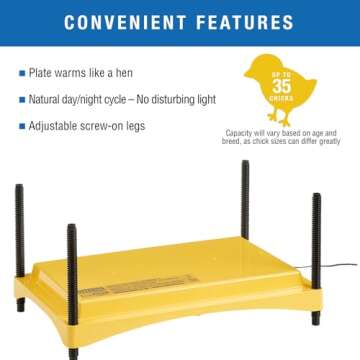 Brinsea Ecoglow Safety 1200 Chick or Duckling Brooder, Adjustable Height & Angle Brooder Plate for 3...