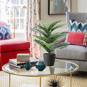 LuckyGreenery Fiddle Leaf Fig for Home and Office Decor