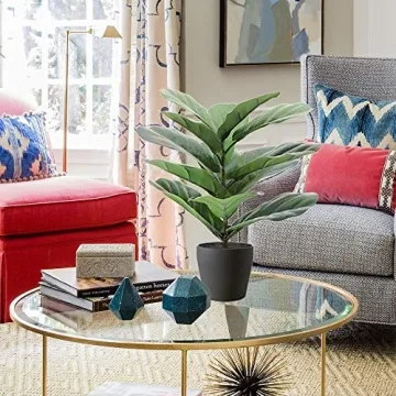 LuckyGreenery Fiddle Leaf Fig for Home and Office Decor