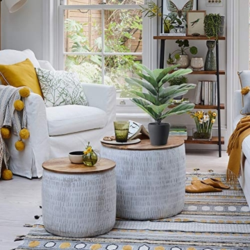 LuckyGreenery Fiddle Leaf Fig for Home and Office Decor