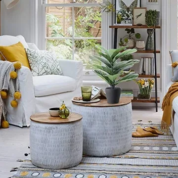 LuckyGreenery Fiddle Leaf Fig for Home and Office Decor