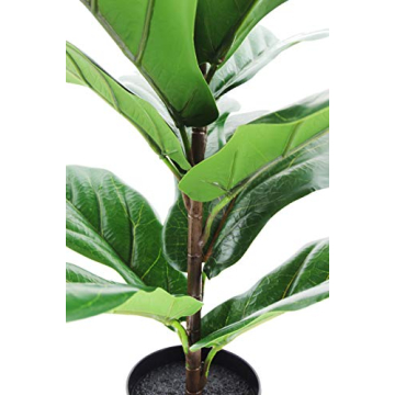 LuckyGreenery Fiddle Leaf Fig for Home and Office Decor