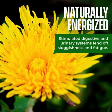 Organic Dandelion Root Tea Caffeine-Free Herbal Blend