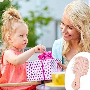 Sofmild Mini Travel Vent Hair Brush Fast Dry Easy Detangle