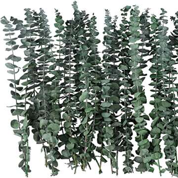 20 Pcs Eucalyptus for Shower Hanging Dried Eucalyptus Stems 17" Real Eucalyptus 100% Made from Fresh...