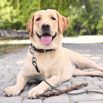 BV Dog Tie Out Cable 25ft, Up to 250 Pounds - Reflective Dog Leads for Yard Heavy Duty with Quick Re...