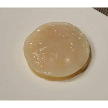 Anything Healthy, LLC Authentic Honey Jun SCOBY with starter for 1 quart batch - Best Customer Service, Contact for any Questions