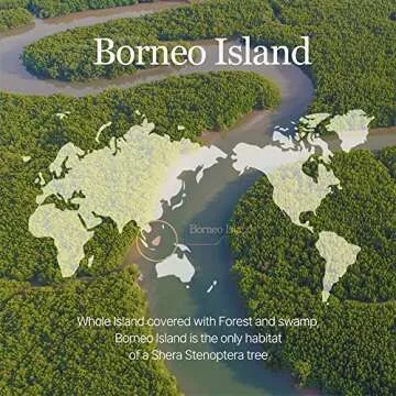 mixsoon Vegan Melting Lip Balm | Nourishing and Hydrating