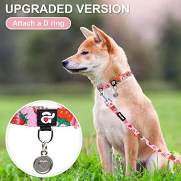 azuza Dog Collar and Leash Set, Cute Strawberry Patterns on Pink Nylon Collar and Matching Leash, Great Option for Extra Small Dogs