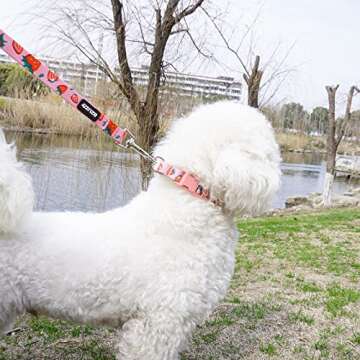 azuza Dog Collar and Leash Set, Cute Strawberry Patterns on Pink Nylon Collar and Matching Leash, Great Option for Extra Small Dogs