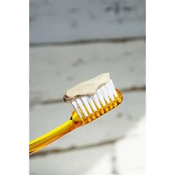 Natural Vegan Toothpaste Variety Pack - Earthpaste