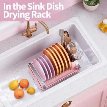 TOOLF Small Expandable Dish Drying Rack for Kitchen