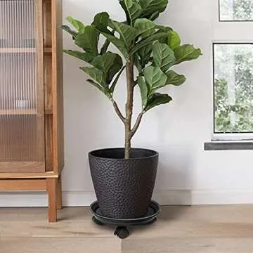 JzNova 2 Pack of Plant Pallet Caddy, Planter Pot Rolling Mover, Plant Stand Dolly Casters with Wheels, Indoor Outdoor Plant Tray Dolly, Black