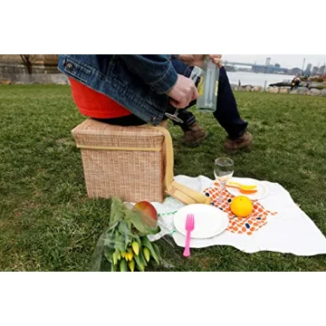 Kikkerland Wicker Picnic Hamper Cooler Seat for Outdoor Fun
