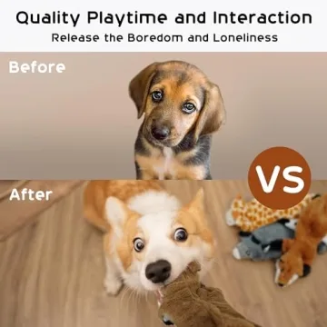 Nocciola Squeaky Toy Set for Small and Large Dogs