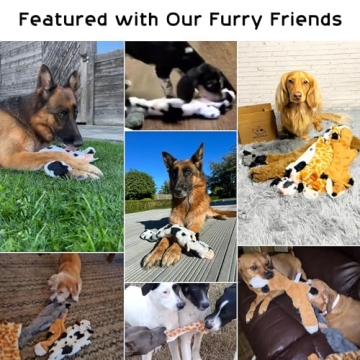 Nocciola Squeaky Toy Set for Small and Large Dogs