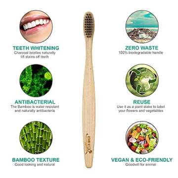 EveEco 12 Count I Bamboo Toothbrush I Soft Bristles Best for Sensitive Gums I Charcoal I Vegan I Natural Wood I BPA Fee I Recyclable I Compostable I Biodegradable | Environmentally Friendly