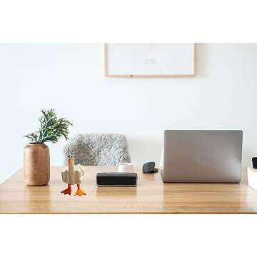 Middle Finger Duck You Figurine Statue - Funny Little Duck Resin Decor - Home Desk Office Garden Duckling Statue Deocration - Funny Joke Prank Gag Quirky Gift for Guys Adults Men