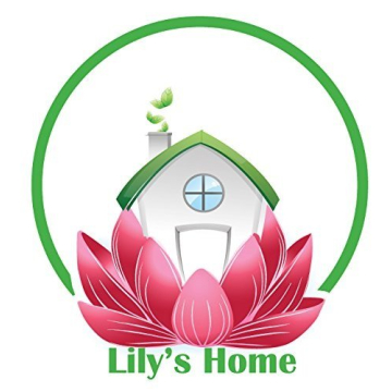 Lily's Vintage Inspired Grand Central Mantle Clock