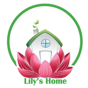 Lily's Vintage Inspired Grand Central Mantle Clock