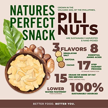 Laird Superfood Cacao Pili Nuts Vegan Keto Snack