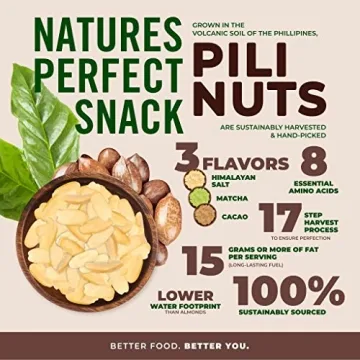 Laird Superfood Cacao Pili Nuts Vegan Keto Snack