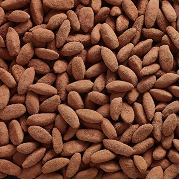 Laird Superfood Cacao Pili Nuts Vegan Keto Snack