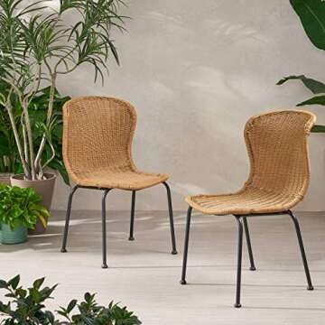 Stylish Christopher Knight Home Dinah Dining Chairs Set of 2