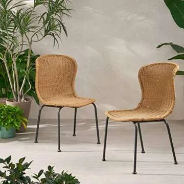 Stylish Christopher Knight Home Dinah Dining Chairs Set of 2