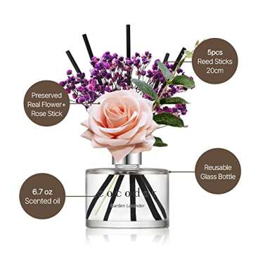 COCODOR Rose Flower Reed Diffuser/Refreshing Air/6.7oz(200ml)/1 Pack/Reed Diffuser, Reed Diffuser Set, Oil Diffuser & Reed Diffuser Sticks, Home Decor & Office Decor, Fragrance and Gifts
