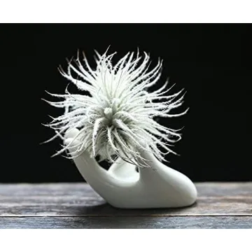 Dahey Ceramic Mini Air Plant Holder - Cute Hand Design