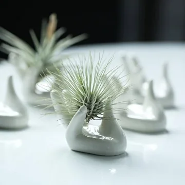Dahey Ceramic Mini Air Plant Holder - Cute Hand Design