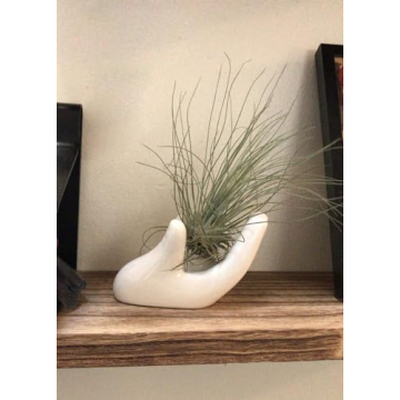 Dahey Ceramic Mini Air Plant Holder - Cute Hand Design