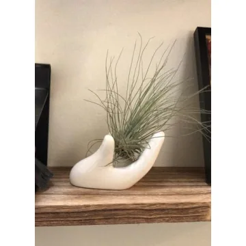 Dahey Ceramic Mini Air Plant Holder - Cute Hand Design