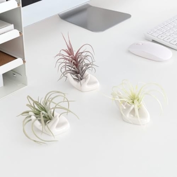 Dahey Ceramic Mini Air Plant Holder - Cute Hand Design