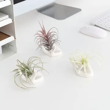 Dahey Ceramic Mini Air Plant Holder - Cute Hand Design