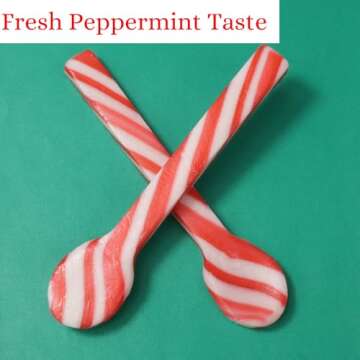 Sweetzo Christmas Candy Cane Spoons, Hot Chocolate and Coffee Peppermint Stirrers - 24 Total Pieces (Pack of 2)
