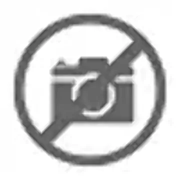 Wilton 4-Piece Easy Blooms Piping Tips for Baker