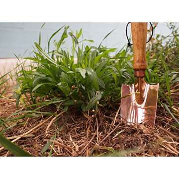 Alchemade Premium Quality 100% Heavy Gauge Copper Garden Trowel for Any Gardener Or Any Occasion - Great Addition to Your Copper Collection