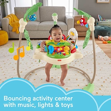 Fisher-Price Jumperoo: Lights, Sounds & Engaging Play Experience