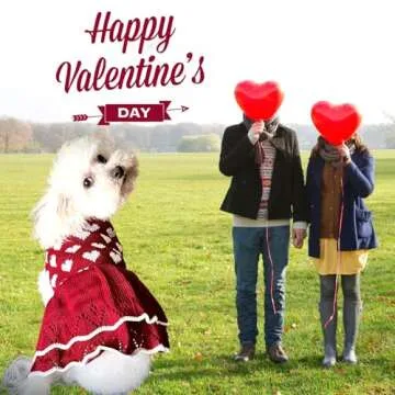 MuYaoPet Cute Red Dog Sweater for Winter Events