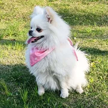 cyeollo 2 Pack Dog Cooling Bandanas Pink Stripe Chill Out Pet Cooling Bandana Summer Breathable Doggie Scarf for Small Medium Large Dogs