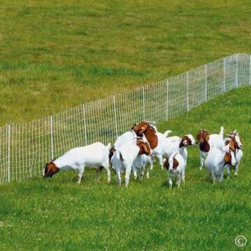Portable Electric Fence for Goats & Sheep - Premier 1