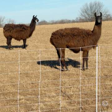 Portable Electric Fence for Goats & Sheep - Premier 1