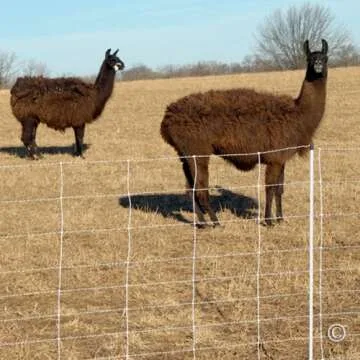 Portable Electric Fence for Goats & Sheep - Premier 1