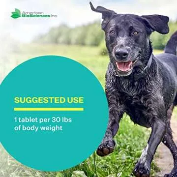 American BioSciences DGP: Fast Joint Relief for Dogs