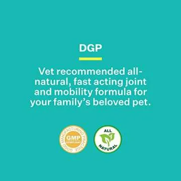 American BioSciences DGP: Fast Joint Relief for Dogs
